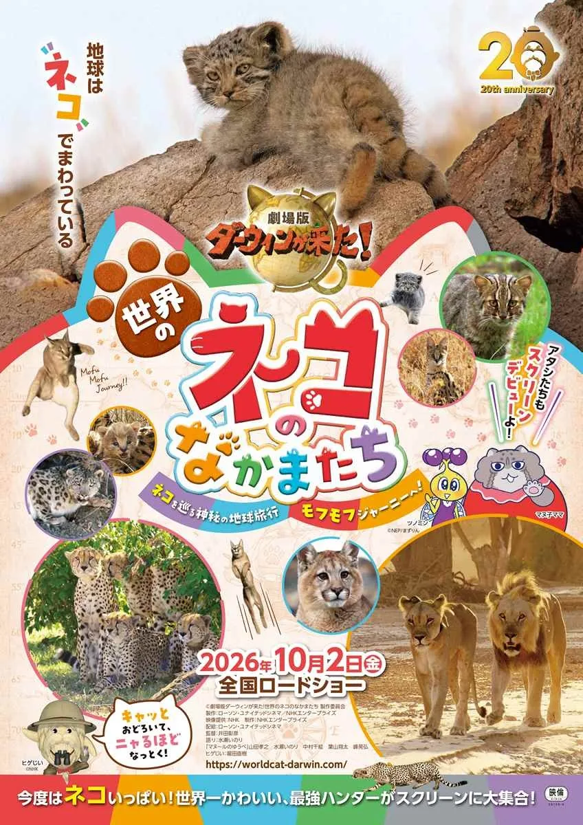 NHK 다큐멘터리 '다윈이 왔다!' 방송 20주년 영화화 주연은 세계 고양이과 동물